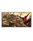 SW2686 / 39 x 79 inch / 100 x 200 cm