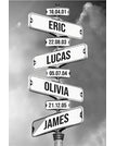 Four Names & Four Dates / 12 x 16 inch / 30 x 40 cm