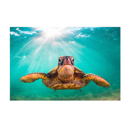 Graceful Journey: Sea Turtle Underwater - Gallerie Canvas