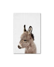 Horse / A1 60x85cm No Frame