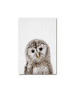 Owl / A1 60x85cm No Frame