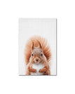 Squirrel / 13x18cm No Frame