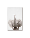Elephant / A1 60x85cm No Frame