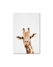 Giraffe / A1 60x85cm No Frame
