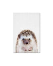 Porcupine / A2 42x60cm No Frame