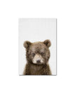 Bear / A1 60x85cm No Frame