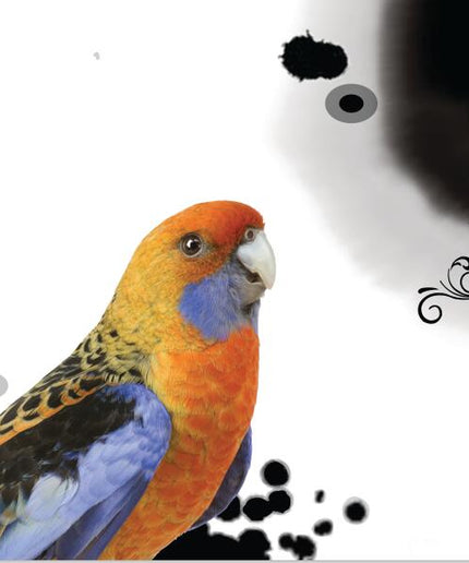 Avian Symphony: Abstract Watercolor Bird Canvas Poster 