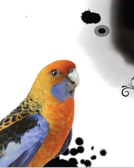 Avian Symphony: Abstract Watercolor Bird Canvas Poster 