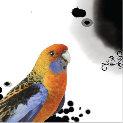 Avian Symphony: Abstract Watercolor Bird Canvas Poster 