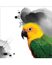 PP856 / 12 x 12 inch / 30 x 30 cm