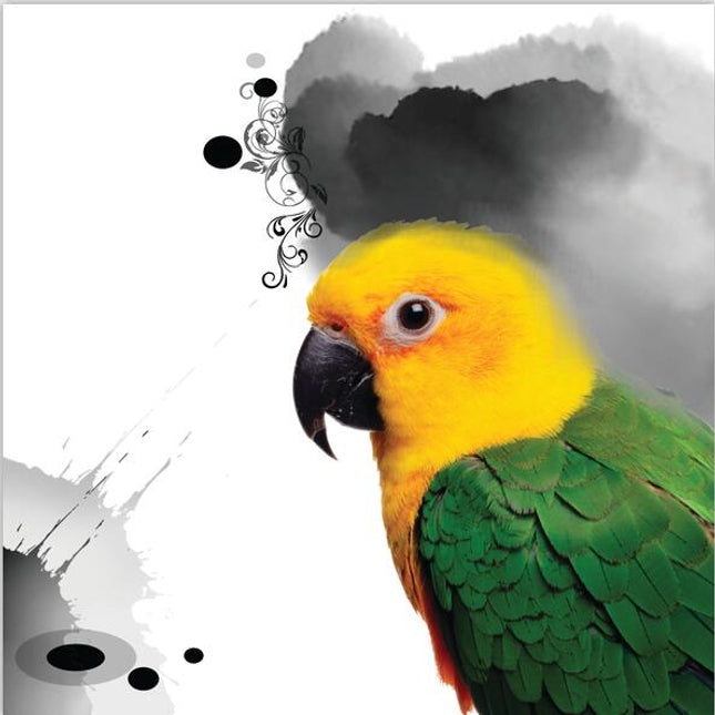 Avian Symphony: Abstract Watercolor Bird Canvas Poster 