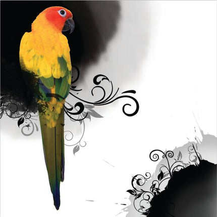 Avian Symphony: Abstract Watercolor Bird Canvas Poster 