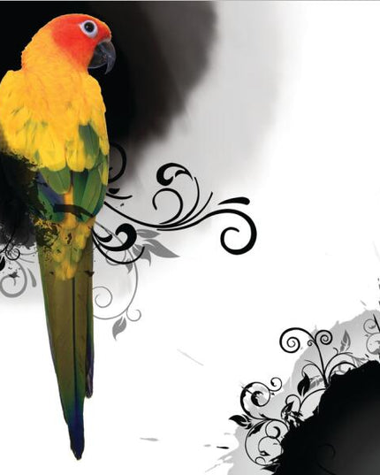 Avian Symphony: Abstract Watercolor Bird Canvas Poster 