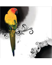PP855 / 12 x 12 inch / 30 x 30 cm