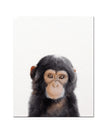 Monkey / 16 x 20 inch / 40 x 50 cm