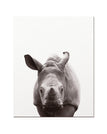 Rhino / 16 x 20 inch / 40 x 50 cm