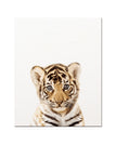 Tiger / 16 x 20 inch / 40 x 50 cm