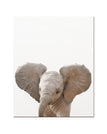 Elephant / 16 x 20 inch / 40 x 50 cm