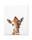 Giraffe / 16 x 20 inch / 40 x 50 cm