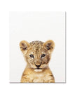 Lion / 16 x 20 inch / 40 x 50 cm