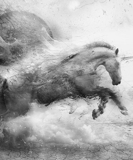 Elegant Equine: Abstract Black & White Running Horse Arr Poster 