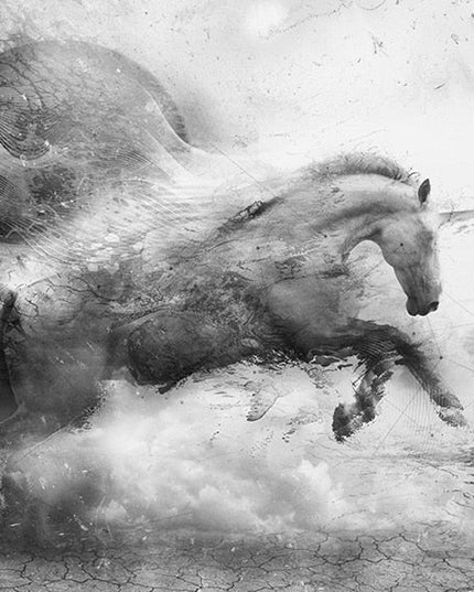 Elegant Equine: Abstract Black & White Running Horse Arr Poster 