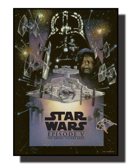 Embrace the Force: Star Wars Fans Adventure Wall Poster 