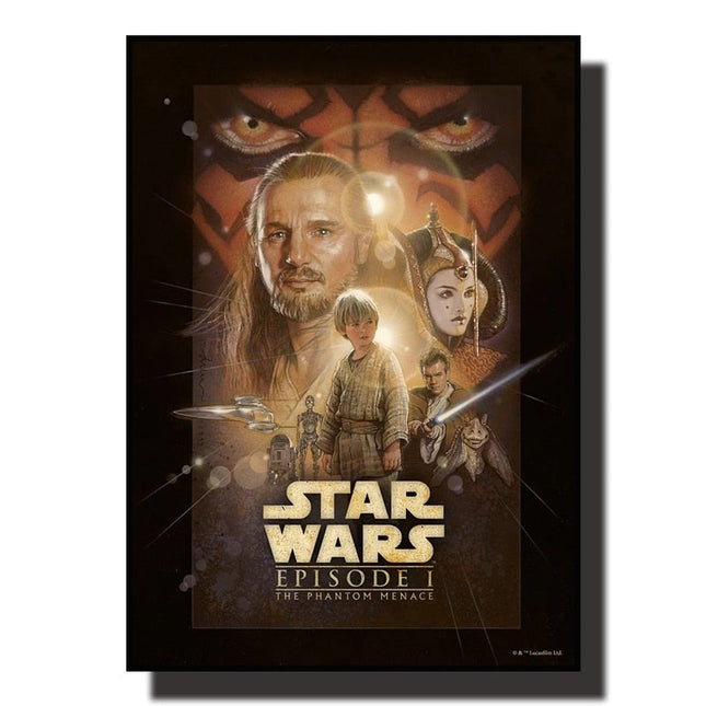 Embrace the Force: Star Wars Fans Adventure Wall Poster 