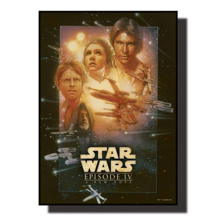 Embrace the Force: Star Wars Fans Adventure Wall Poster 