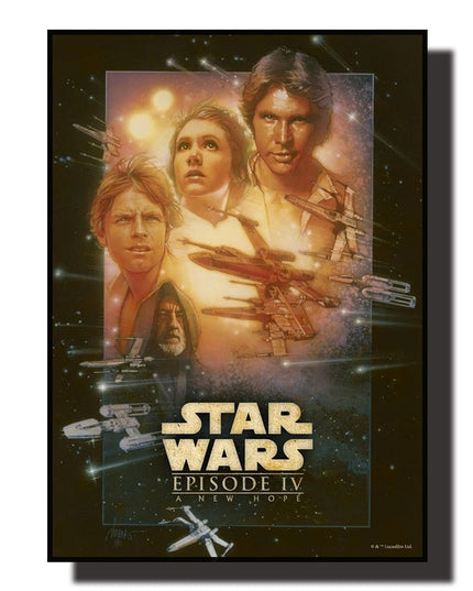 Embrace the Force: Star Wars Fans Adventure Wall Poster 