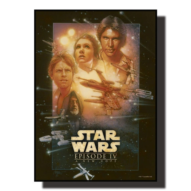 Embrace the Force: Star Wars Fans Adventure Wall Poster 