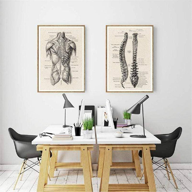 Fascinating Medical Human Anatomy Canvas Art: Feed Your Curiosity