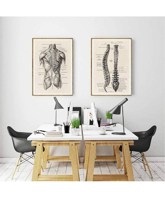 Fascinating Medical Human Anatomy Canvas Art: Feed Your Curiosity