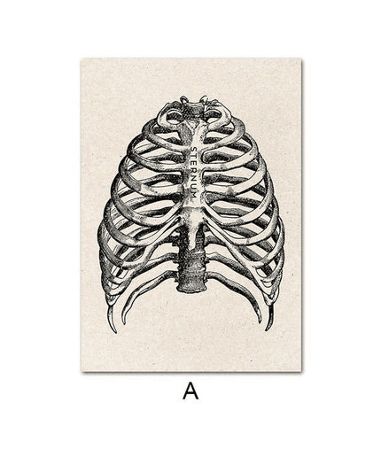 Fascinating Medical Human Anatomy Canvas Art: Feed Your Curiosity
