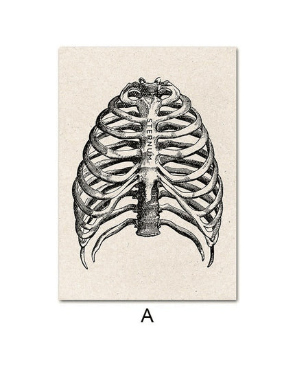 Fascinating Medical Human Anatomy Canvas Art: Feed Your Curiosity