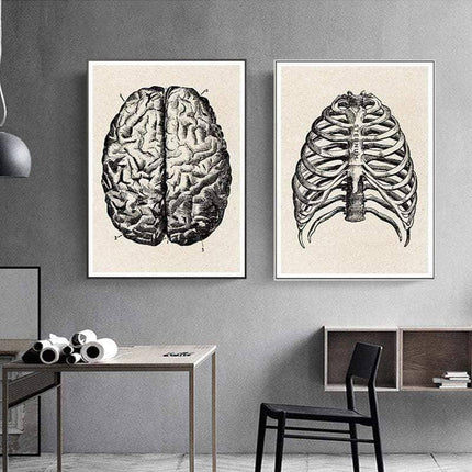 Fascinating Medical Human Anatomy Canvas Art: Feed Your Curiosity