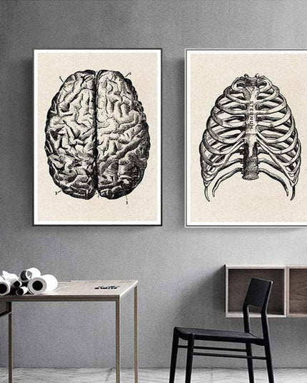 Fascinating Medical Human Anatomy Canvas Art: Feed Your Curiosity