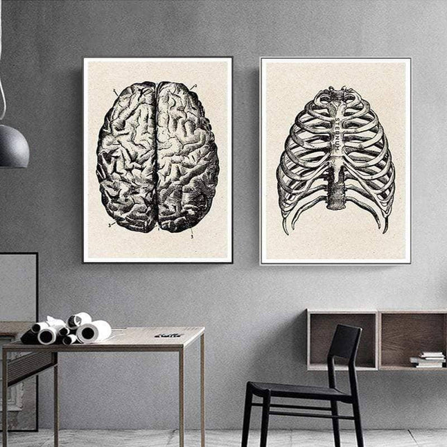 Fascinating Medical Human Anatomy Canvas Art: Feed Your Curiosity