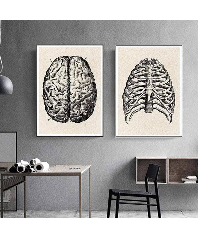 Fascinating Medical Human Anatomy Canvas Art: Feed Your Curiosity