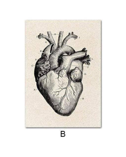 Fascinating Medical Human Anatomy Canvas Art: Feed Your Curiosity