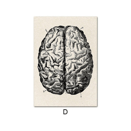 Fascinating Medical Human Anatomy Canvas Art: Feed Your Curiosity