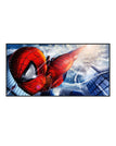 SW2696 / 39 x 79 inch / 100 x 200 cm