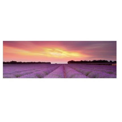 Golden Horizons: Sunsets Natural Sea Beach Canvas Poster 