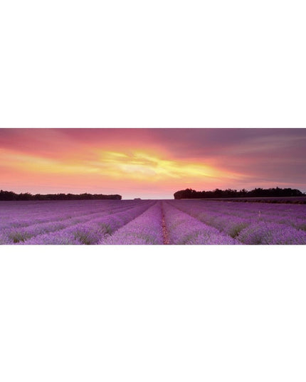 Golden Horizons: Sunsets Natural Sea Beach Canvas Poster 