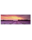 PC5751 / 12 x 32 inch / 30 x 80 cm
