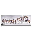 zx981c / 12 x 35 inch / 30 x 90 cm