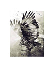 Eagle / A4 21x30CM No Frame
