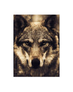 Wolf 1 / A4 21x30CM No Frame