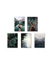 Full set of 5 / 40x50cm No Frame