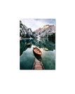 Picture D / 40x50cm No Frame